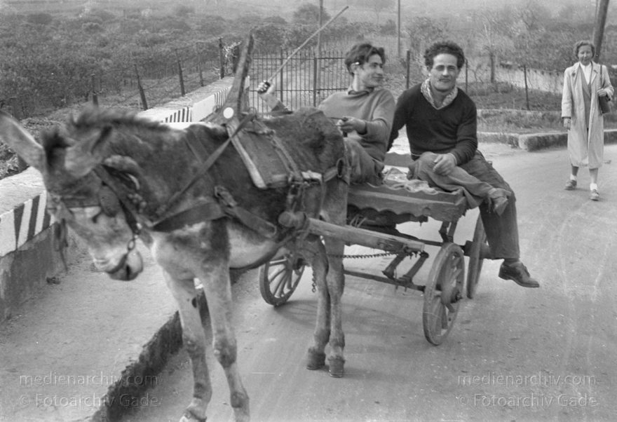 Italien. Sizilien. Zwei Männer auf einem Eselskarren
um 1950. Italien. Sizilien. Zwei Männer auf einem Eselskarren
Schlüsselwörter: 1950;1950er;Esel;Italia;Italien;Italy;Messina;Sicilia;Sicily;Sizilien