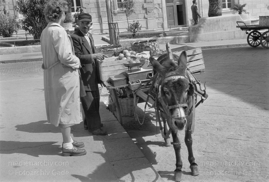 um 1950. Italien. Sizilien. Obstverkäufer mit Eselskarren
um 1950. Italien. Sizilien. Ein Obstverkäufer am Straßenrand  bietet seine Waren direkt von der Ladefläche seines Eselskarrens an.
Schlüsselwörter: 1950;1950er;Esel;Italia;Italien;Italy;Karren;Obstverkäufer;Sicilia;Sicily;Sizilien