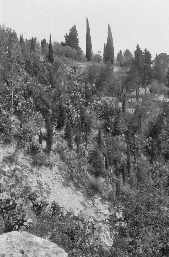 um 1950. Italien. Sizilien
1950er. Italien. Sizilien - Italy. Sicily - Italia. Sicilia. Taormina
Schlüsselwörter: 1950;1950er;Italia;Italien;Italy;Sicilia;Sicily;Sizilien;Taormina