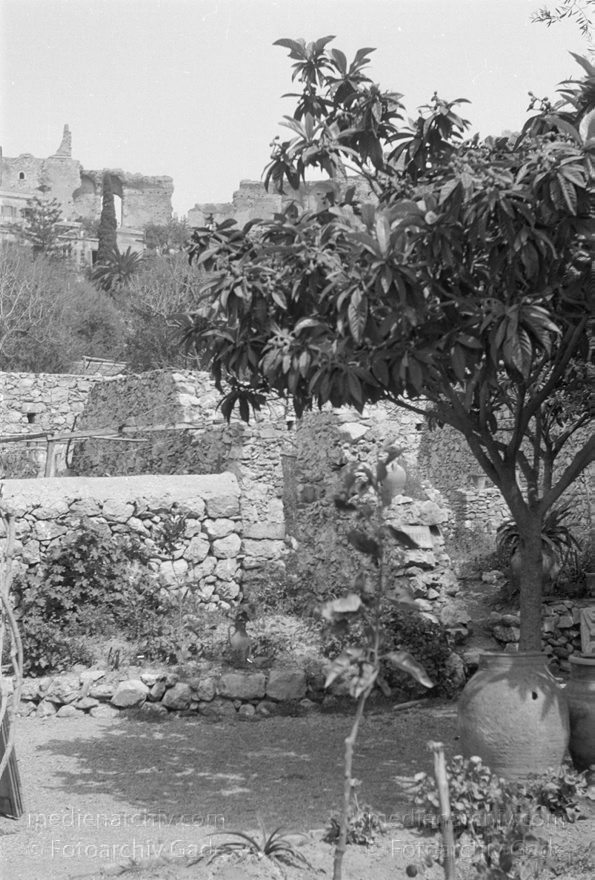 um 1950. Italien. Sizilien
1950er. Italien. Sizilien - Italy. Sicily - Italia. Sicilia. Taormina
Schlüsselwörter: 1950;1950er;Italia;Italien;Italy;Sicilia;Sicily;Sizilien;Taormina