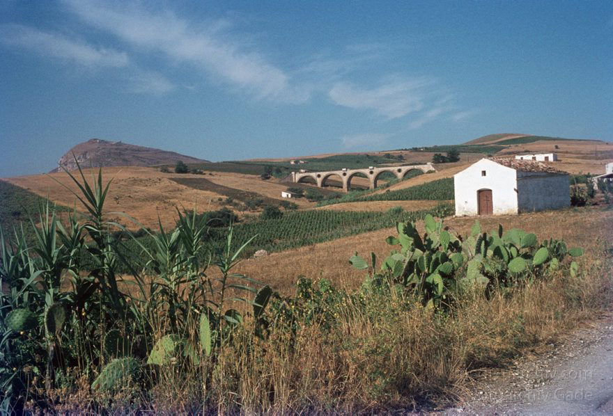 1969. Italien. Sizilien
1969. Italien. Sizilien  - Italy. Sicily - Italia. Sicilia. Segesta. Römisches Viaduct
Schlüsselwörter: 1969;Italia;Italien;Italy;Segesta;Sicilia;Sicily;Sizilien;Viaduct