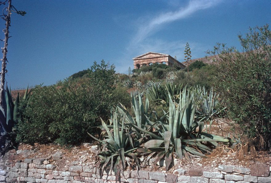 1969. Italien. Sizilien
1969. Italien. Sizilien  - Italy. Sicily - Italia. Sicilia. Segesta. Ruinen. Säulen. Segesta
Schlüsselwörter: 1969;Italia;Italien;Italy;Segesta;Sicilia;Sicily;Sizilien