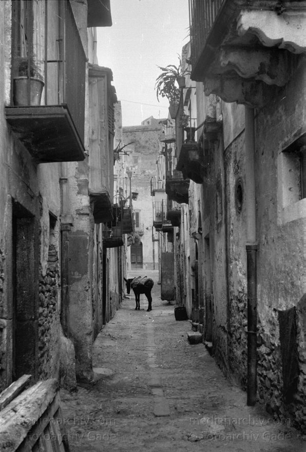 1950. Italien. Insel Lipari
1950. Italien. Provinz Messina. Insel Insel Lipari
Schlüsselwörter: 1950;Insel;Italia;Italien;Italy;Lipari;Sizilien