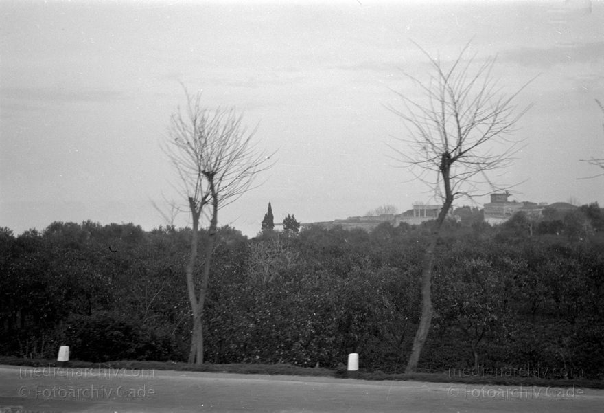 1950. Italien. Sizilien
1950. Italien. Sizilien  - Italy. Sicily - Italia. Sicilia
Schlüsselwörter: 1950;Italia;Italien;Italy;Sicilia;Sicily;Sizilien