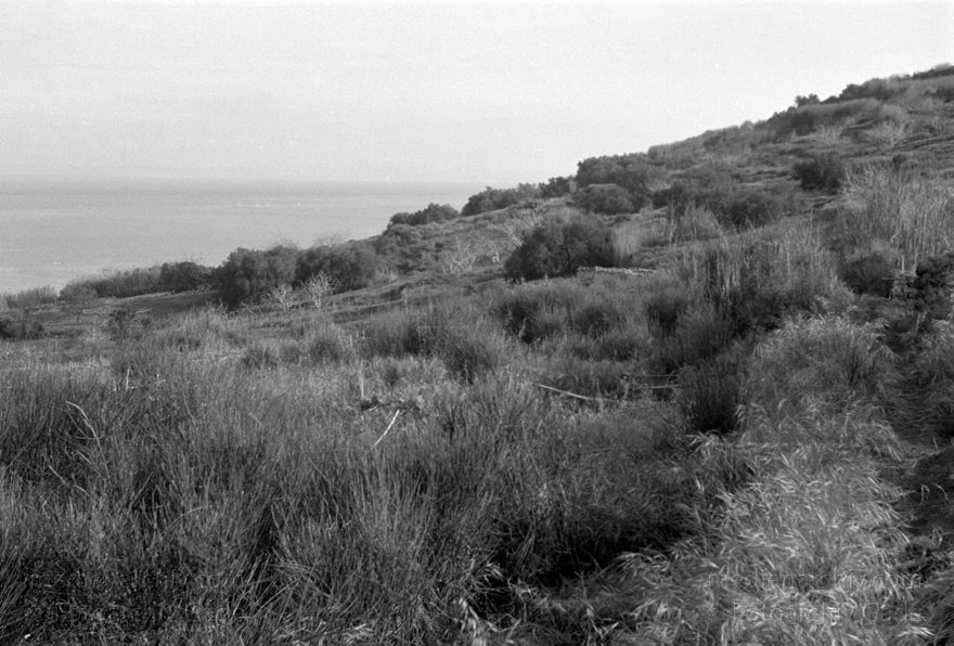 1950er. Italien. Italienische Insel Stromboli mit aktivem Vulkan
1950er. Italien. Liparische Inseln. Stromboli mit aktivem Vulkan. Italy. Aeolian Islands. Italia. Isola di Stromboli
Schlüsselwörter: 1950;Aeolian Islands;Insel;Isola di Stromboli;Italia;Italien;Italy;Stromboli;Vulkaninsel