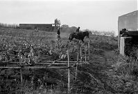 Italy-Stromboli-1950er-03-13.jpg