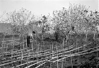 Dateiname=Italy-Stromboli-1950er-03-15.jpg
Dateigröße=294KB
Abmessungen: 880x599
hinzugefügt am: 05. Januar 2016 Italy-Stromboli-1950er-03-15.jpg