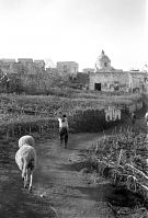 Dateiname=Italy-Stromboli-1950er-03-20.jpg
Dateigröße=168KB
Abmessungen: 597x880
hinzugefügt am: 05. Januar 2016 Italy-Stromboli-1950er-03-20.jpg