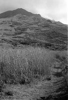 Italy-Stromboli-1950er-05-17.jpg