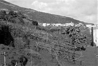 Italy-Stromboli-1950er-06-01.jpg