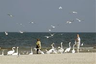 Polen-Swinemuende-20050923-106.jpg