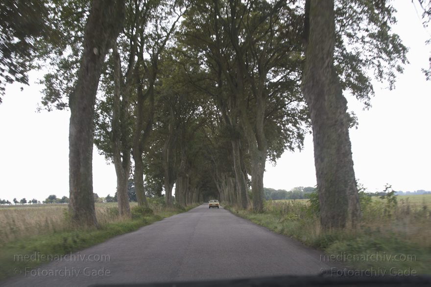 Polen. Wolin.
September 2005. Polen. Wolin.
Schlüsselwörter: 2005;Polen;Wolin