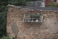 Polen-Wolin-20050919-012.jpg