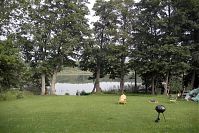 Dateiname=Polen-Wolin-20050922-082.jpg
Dateigröße=341KB
Abmessungen: 880x587
hinzugefügt am: 05. Januar 2016 Polen-Wolin-20050922-082.jpg
