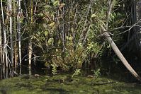 Polen-Wolin-20050923-194.jpg