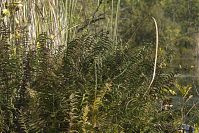 Dateiname=Polen-Wolin-20050923-196.jpg
Dateigröße=371KB
Abmessungen: 880x587
hinzugefügt am: 05. Januar 2016 Polen-Wolin-20050923-196.jpg