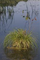 Dateiname=Polen-Wolin-20050925-266.jpg
Dateigröße=250KB
Abmessungen: 587x880
hinzugefügt am: 05. Januar 2016 Polen-Wolin-20050925-266.jpg