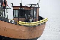 Dateiname=Polen-Wolin-Misdroy-20050920-134.jpg
Dateigröße=142KB
Abmessungen: 880x587
hinzugefügt am: 05. Januar 2016 Polen-Wolin-Misdroy-20050920-134.jpg
