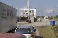 Polen-Wolin-Swine-20050922-092.jpg
