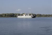 Polen-Wolin-Swine-20050922-100.jpg