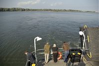 Polen-Wolin-Swine-20050922-107.jpg