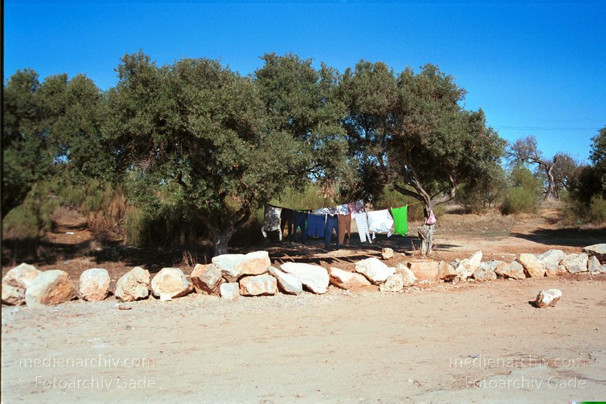 Portugal. Tavira
November 2000. Portugal. Cacela. Waeschetrocknen am Strand. Touristen. Urlaub.
Schlüsselwörter: 2000;Cacela;Portugal;Tavira;Waesche;Waschen