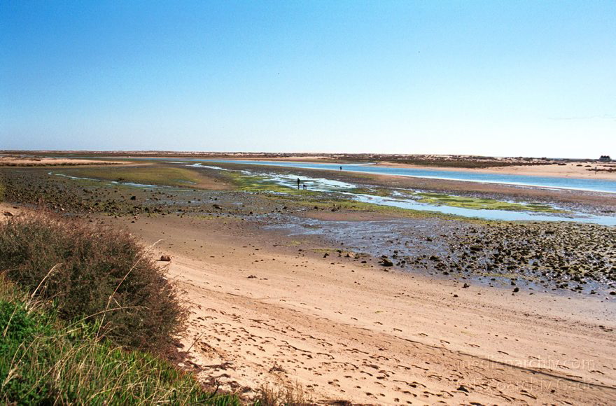 Portugal. Tavira
November 2000. Portugal. Cacela. Strand am Meer.
Schlüsselwörter: 2000;Cacela;Meer;Portugal;Strand;Tavira