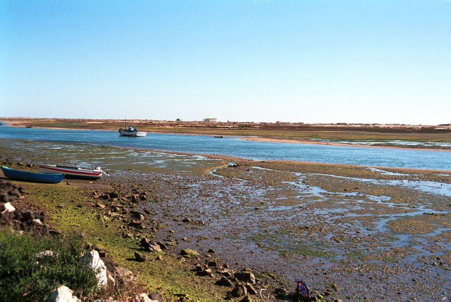 Portugal. Tavira
November 2000. Portugal. Cacela. Meerarm bei Ebbe.
Schlüsselwörter: 2000;Cacela;Ebbe;Meer;Portugal;Tavira