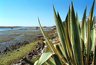 Portugal-Tavira-200011-048.jpg