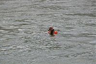 Dateiname=Schweiz-Basel-20110621-305.jpg
Dateigröße=260KB
Abmessungen: 880x584
hinzugefügt am: 05. Januar 2016 Schweiz-Basel-20110621-305.jpg