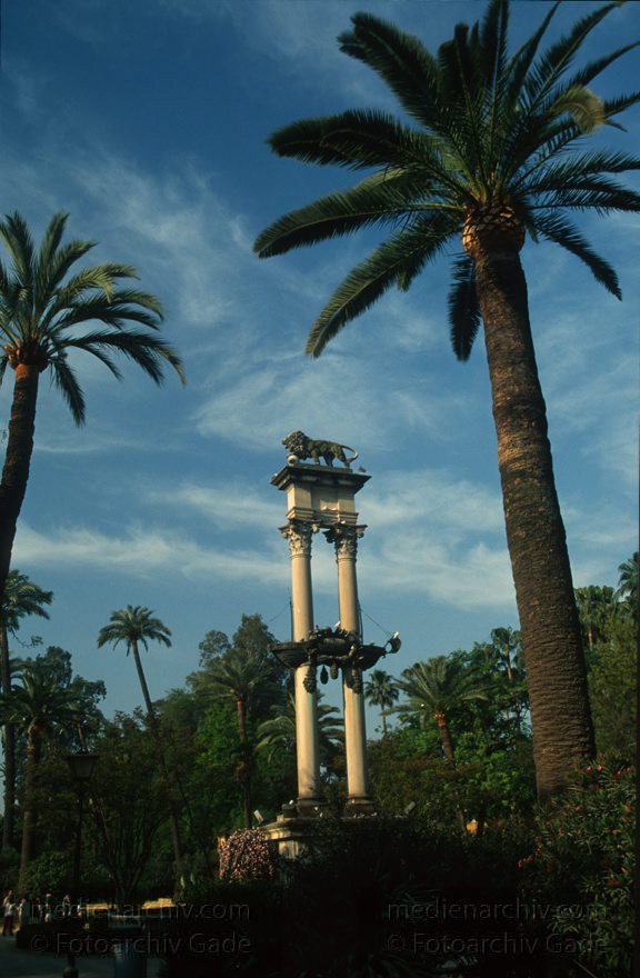 Spanien. Andalusien. Almunecar
März 1997. Spanien. Andalusien - Spain. Andalusia. - España Andalucía. Almunecar. Palme
Schlüsselwörter: Almunecar;Andalucía;Andalusia;Andalusien;Costa del Sol;España;Spain;1997;Spanien