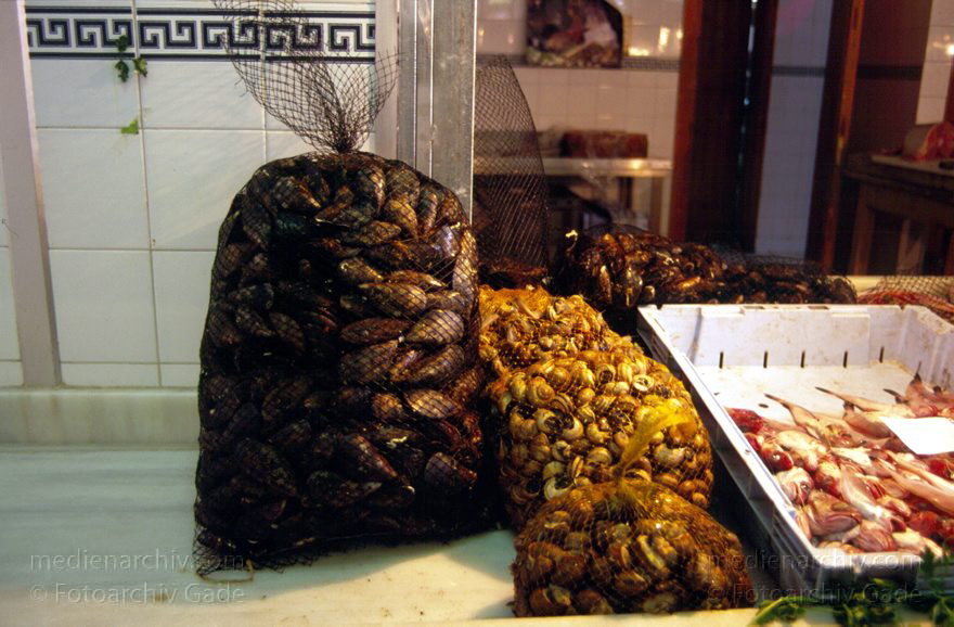 Spanien. Andalusien. Almunecar. Markt
1997, Spanien, Andalusien, Costa del Sol, Markt in Almunecar. Muscheln am Fischstand
Schlüsselwörter: Almunecar;Andalusien;Costa del Sol;Fisch;Fischstand;Markt;Muscheln;Spain;1997;Spanien