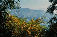 Spanien-Andalusien-Almunecar-199703-016.jpg