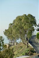 Dateiname=Spanien-Andalusien-Almunecar-200202-22.jpg
Dateigröße=253KB
Abmessungen: 588x880
hinzugefügt am: 05. Januar 2016 Spanien-Andalusien-Almunecar-200202-22.jpg
