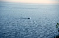 Spanien-Andalusien-Almunecar200011-99.jpg