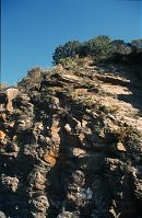 Dateiname=Spanien-Andalusien-Alpujarras-199703-027.jpg
Dateigröße=266KB
Abmessungen: 576x880
hinzugefügt am: 05. Januar 2016 Spanien-Andalusien-Alpujarras-199703-027.jpg