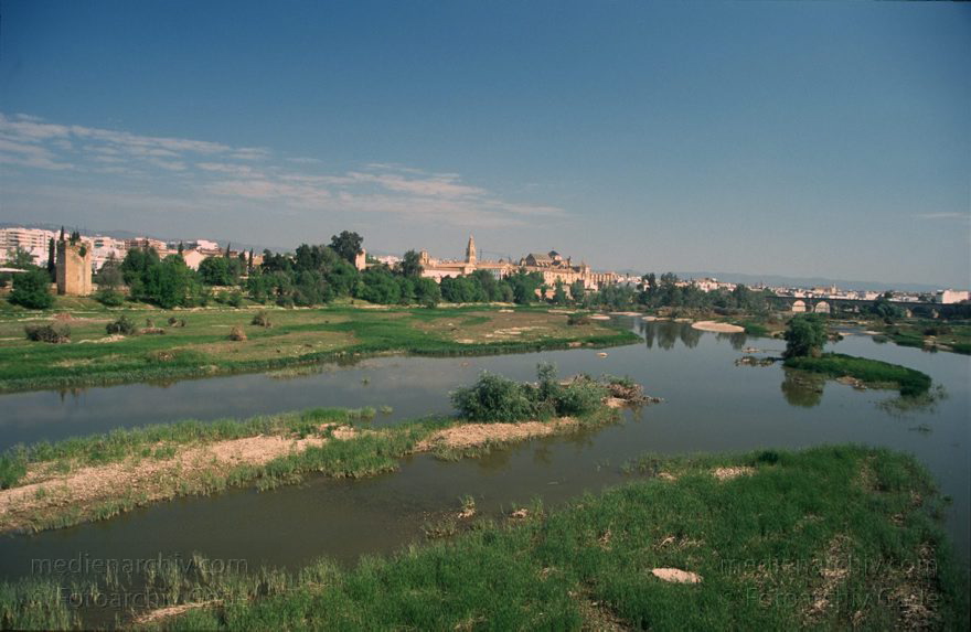 Spanien. Andalusien. Cordoba
März 1997. Spanien. Andalusien. Cordoba. - Spain. Andalusia. Córdoba  - España. Andalucía. Fluss Guadalquivir
Schlüsselwörter: Andalucía;Andalusia;Andalusien;Cordoba;Córdoba;España;Guadalquivir;Spain;1997;Spanien