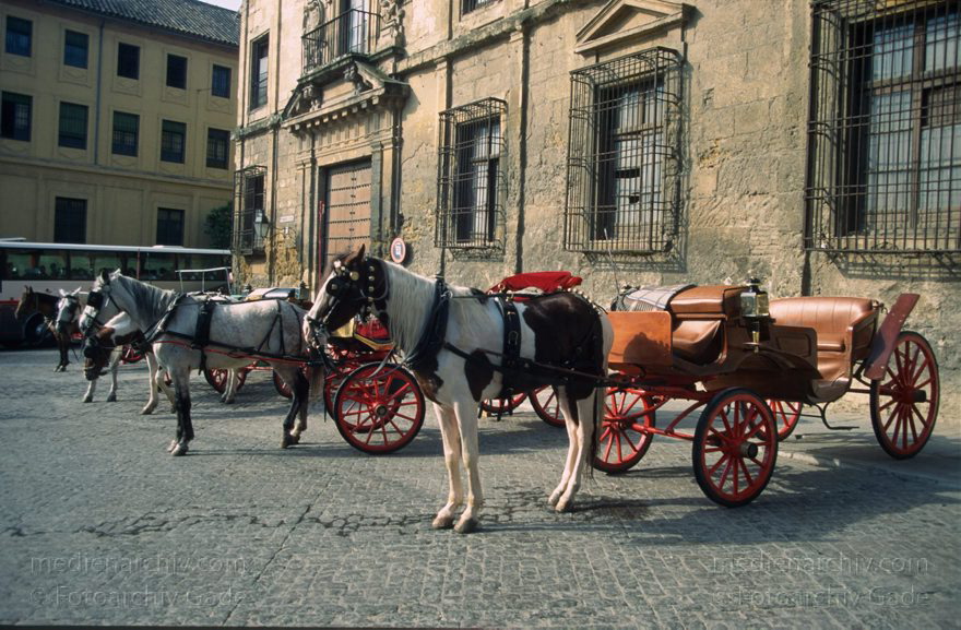 Spanien. Andalusien. Cordoba
März 1997. Spanien. Andalusien. Cordoba. - Spain. Andalusia. Córdoba  - España. Andalucía. Pferdekutschen für Touristen.
Schlüsselwörter: Andalucía;Andalusia;Andalusien;Cordoba;Córdoba;España;Pferdekutsche;Spain;1997;Spanien