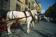 Spanien-Andalusien-Cordoba-199703-362.jpg