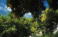 Spanien-Andalusien-Cordoba-199703-47.jpg