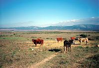 Spanien-Andalusien-199811-11.jpg
