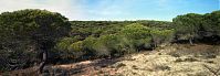Spanien-Andalusien-200011-11p.jpg
