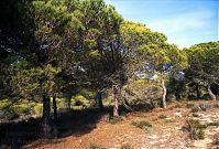 Spanien-Andalusien-200011-17.jpg