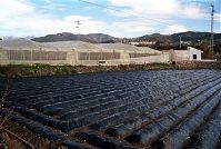 Spanien-Andalusien-200011-86.jpg