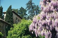 Spanien-Andalusien-Granada-Alhambra-199703-612.jpg