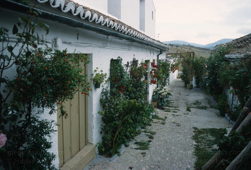 Spanien. Andalusien. Ronda
November 1998. Spanien. Andalusien. Ronda. Kleinstadt in der andalusischen Provinz Málaga.  Spain. Andalusia. España. Andalucía.
Schlüsselwörter: Andalucía;Andalusia;Andalusien;España;Ronda;Spain;1998;Spanien