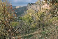 Dateiname=Spanien-Andalusien-Ronda-199811-190.jpg
Dateigröße=397KB
Abmessungen: 880x597
hinzugefügt am: 05. Januar 2016 Spanien-Andalusien-Ronda-199811-190.jpg