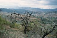 Spanien-Andalusien-Ronda-199811-192.jpg