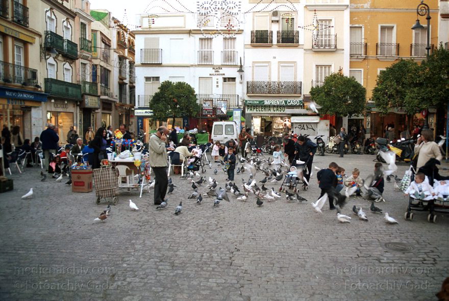 Spanien. Andalusien. Sevilla
November 2000. Spanien. Andalusien. Sevilla. Viele Tauben auf einem Platz.
Schlüsselwörter: Andalusien;Sevilla;Spain;2000;Spanien