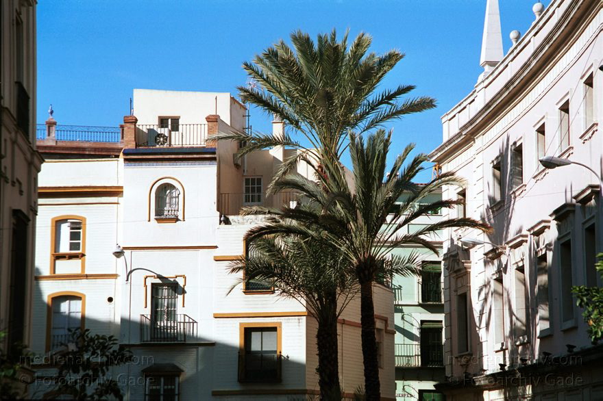Spanien. Andalusien. Sevilla
November 2000. Spanien. Andalusien. Sevilla.
Schlüsselwörter: Andalusien;Sevilla;Spain;2000;Spanien